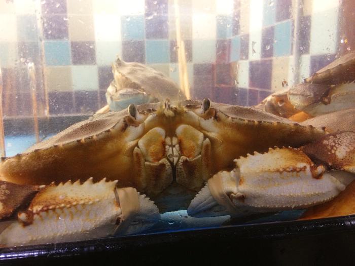 Infectious Disease Shellfish Poisoning Resources